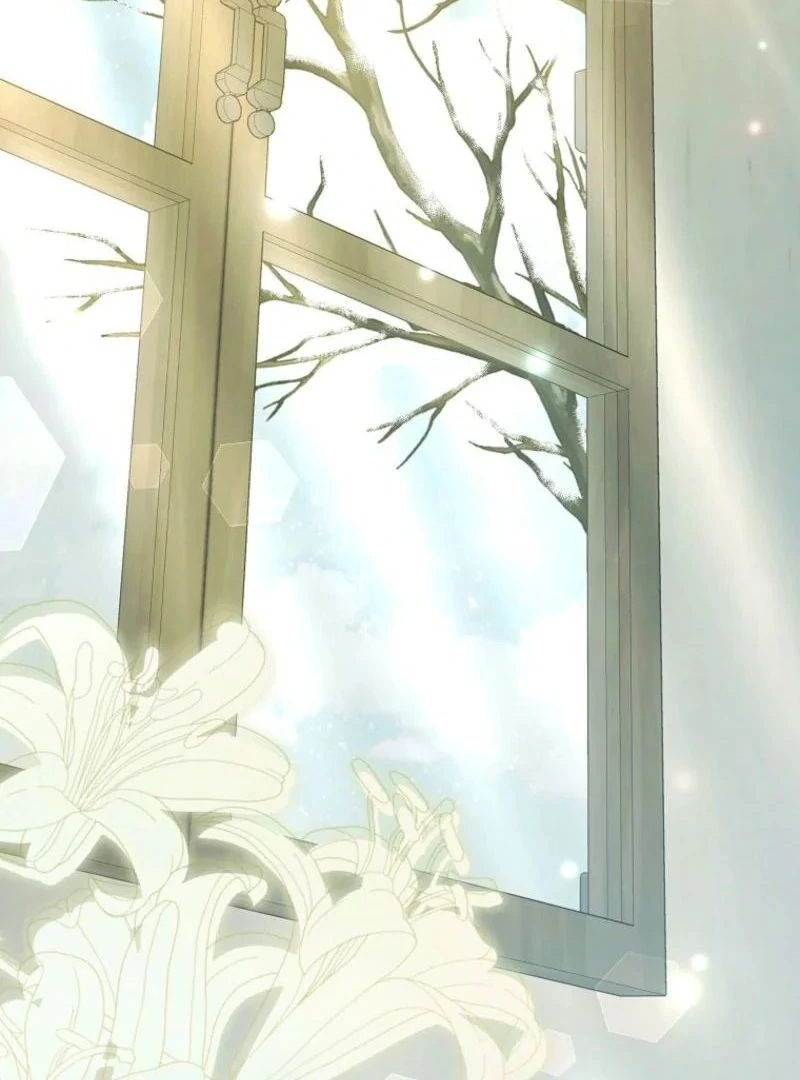 My Contract Husband Resembles the Male Protagonist Chapter 22 693 ch 22 119