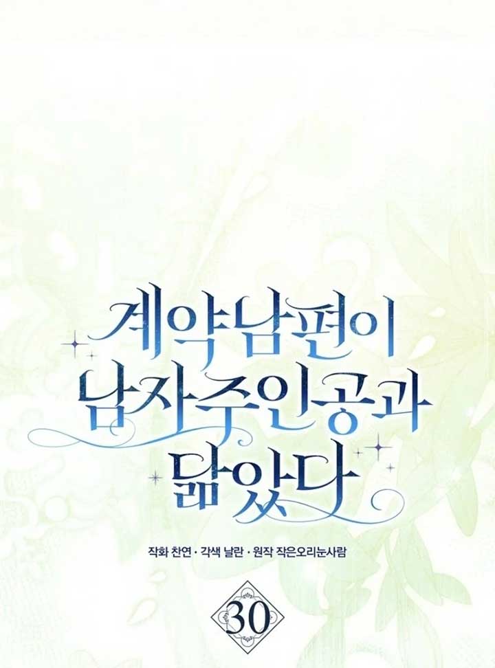 My Contract Husband Resembles the Male Protagonist Chapter 30 540 047