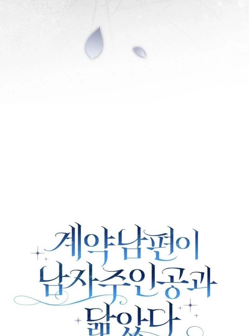 My Contract Husband Resembles the Male Protagonist Chapter 31 567 047