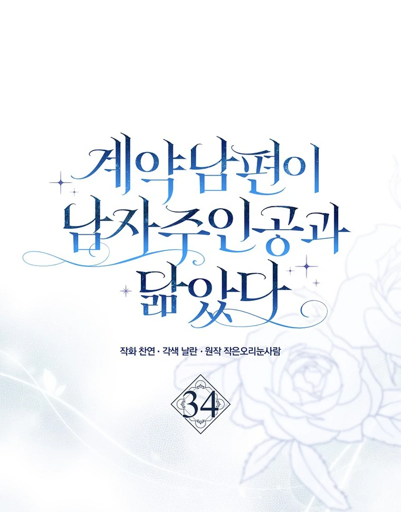 My Contract Husband Resembles the Male Protagonist Chapter 34 518 028