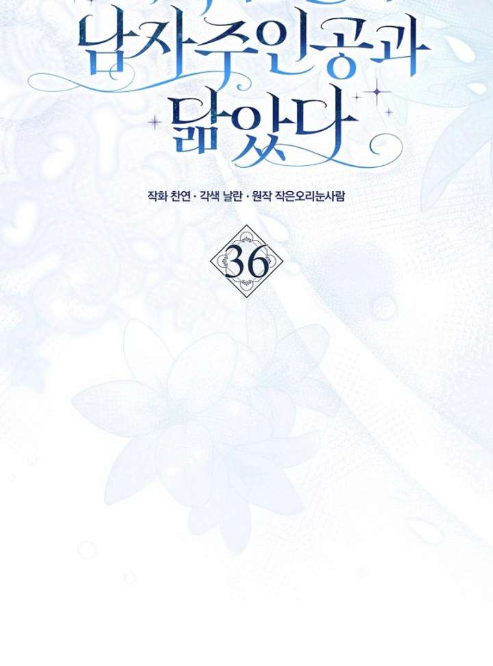 My Contract Husband Resembles the Male Protagonist Chapter 36 559 072