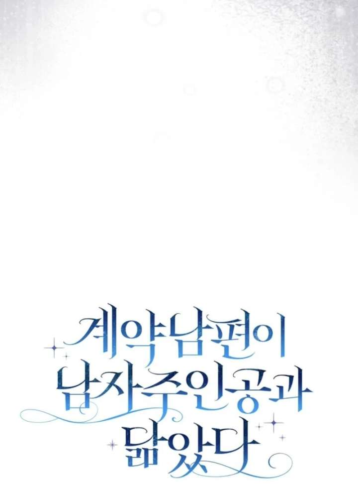 My Contract Husband Resembles the Male Protagonist Chapter 40 525 065