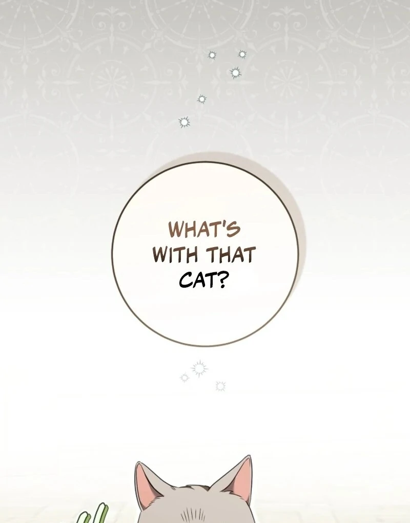 My Dream is to Get My Own House Chapter 35 452 013