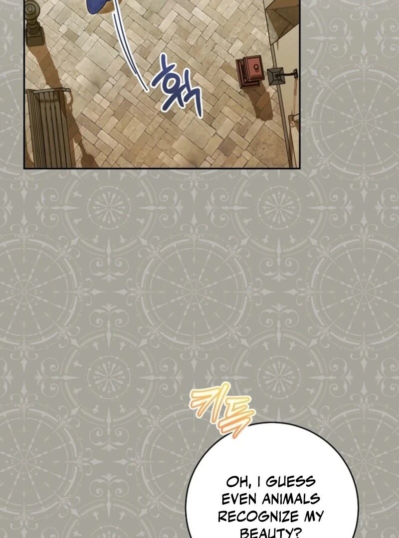 My Dream is to Get My Own House Chapter 35 455 016