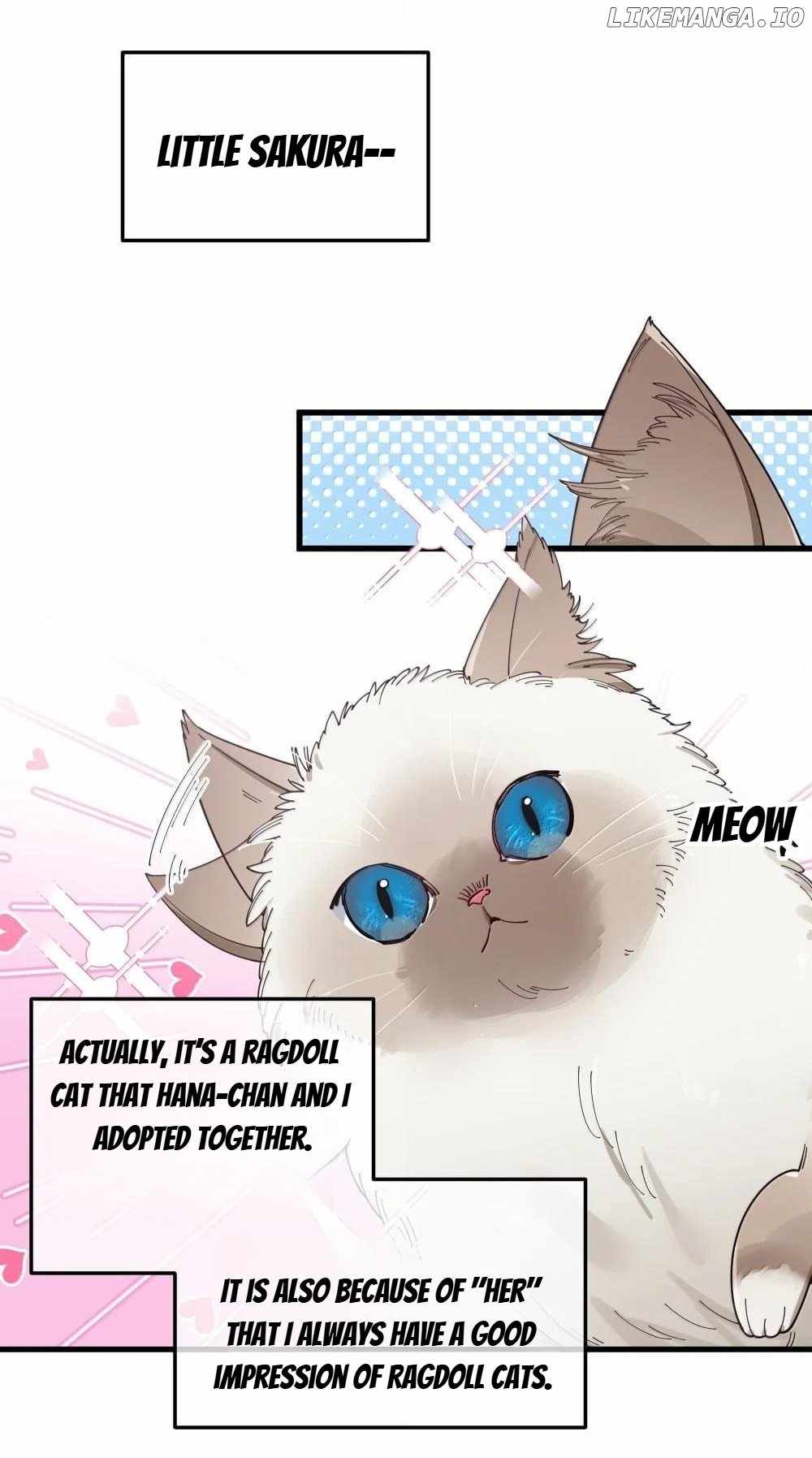 My Fake Girlfriends Are Using Me as a Shield Chapter 137 147 16