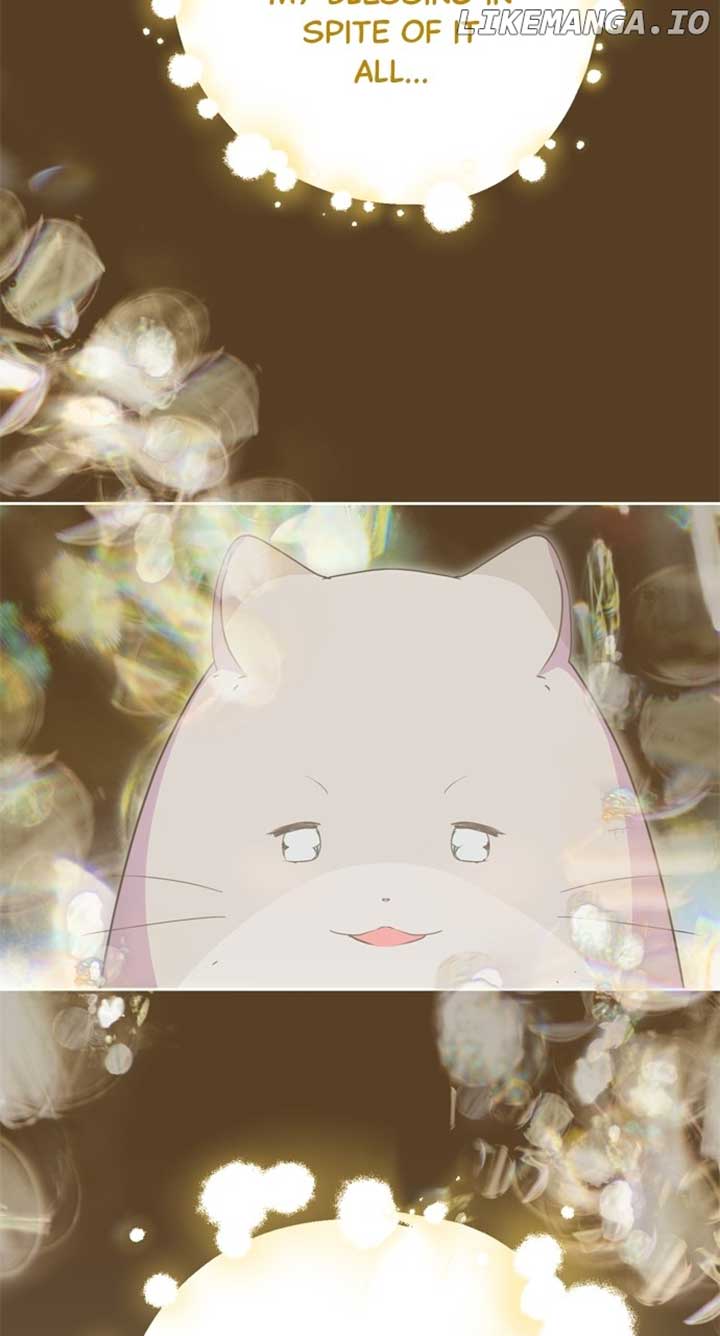 My Husband Changes Every Night Chapter 93 321 ch 93 47