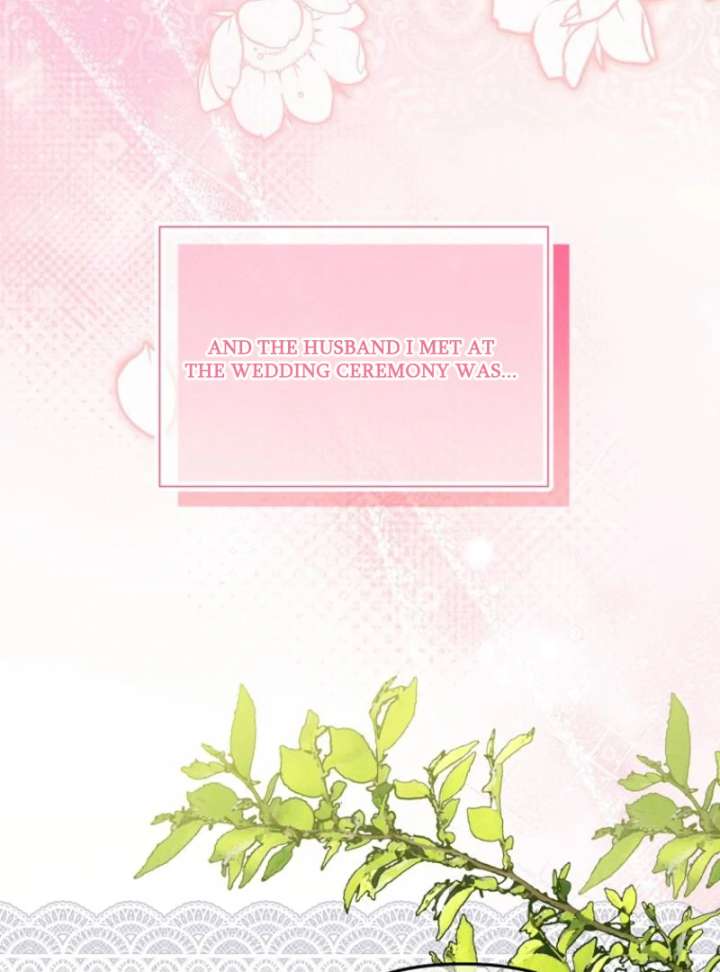 My Husband Possessed the Protagonist Chapter 0 260 46