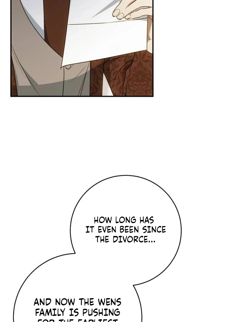 My Husband Was Stolen Twice Chapter 17 384 026