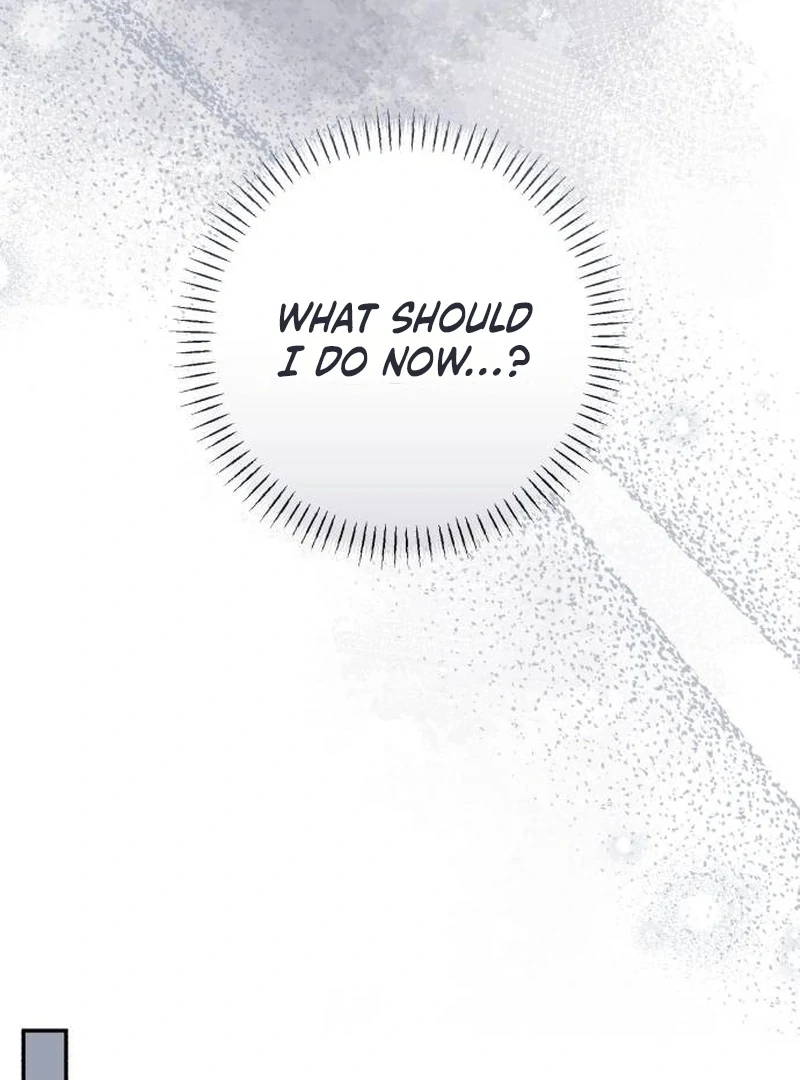 My Husband Was Stolen Twice Chapter 17 461 103