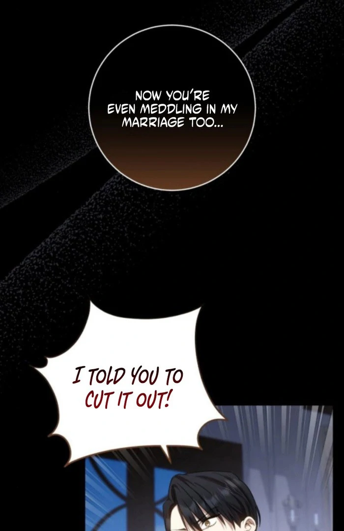 My Husband Was Stolen Twice Chapter 19 319 003