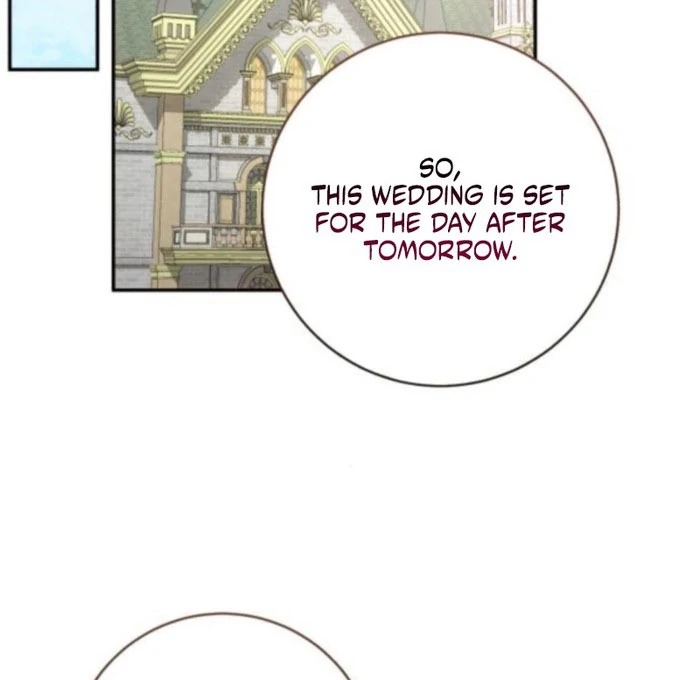 My Husband Was Stolen Twice Chapter 19 355 039