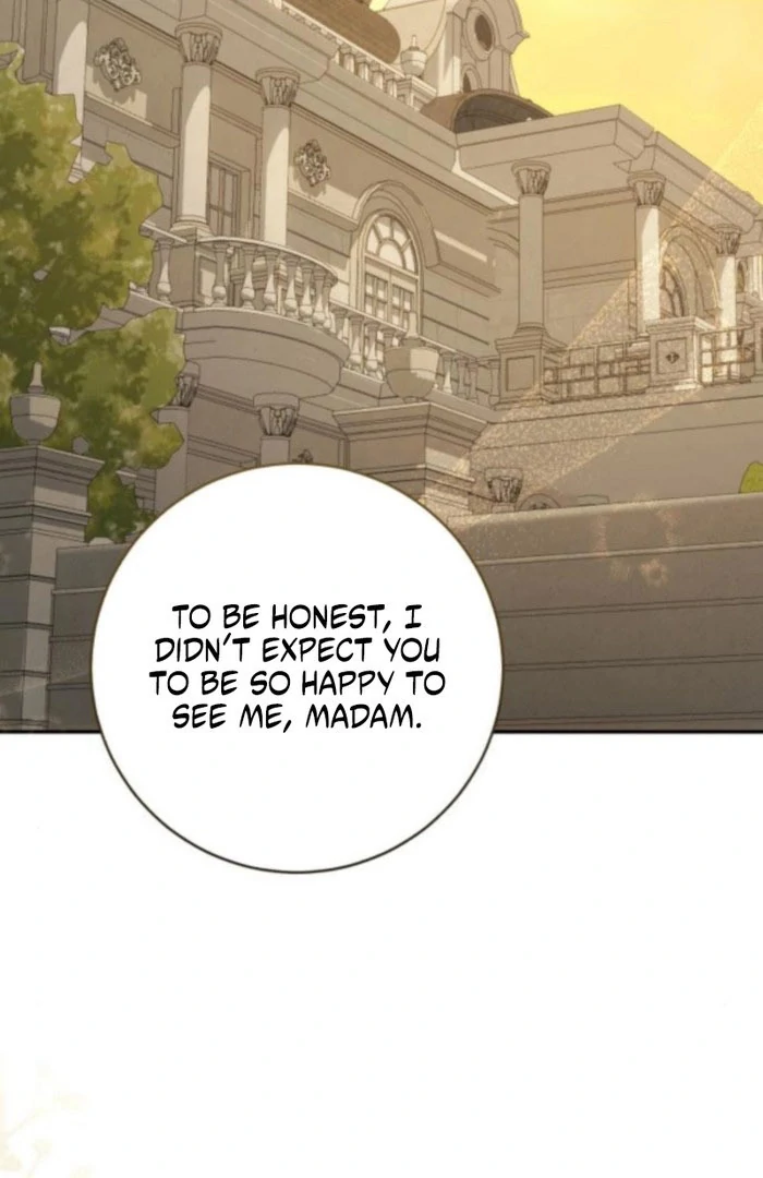 My Husband Was Stolen Twice Chapter 19 396 080