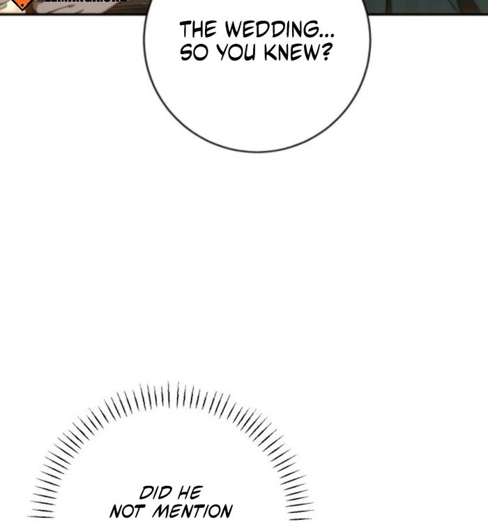 My Husband Was Stolen Twice Chapter 19 413 097