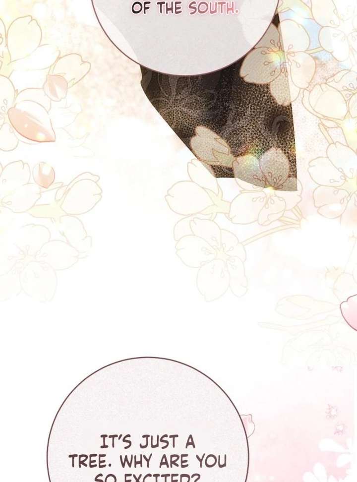 My Husband Was Stolen Twice Chapter 24 399 062