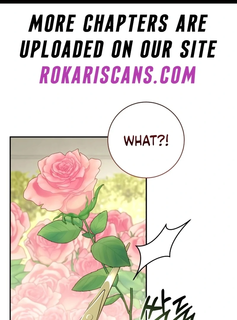 My Husband Was Stolen Twice Chapter 25 396 002