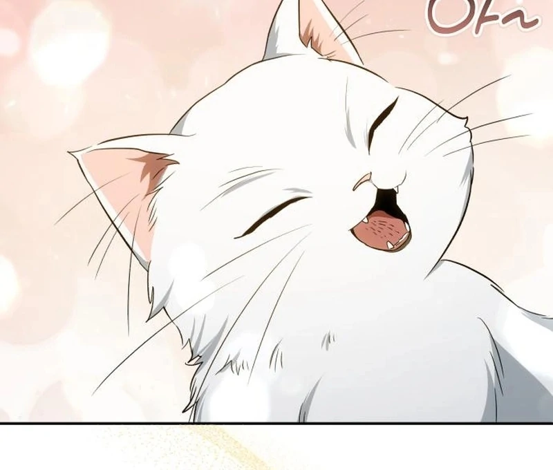 My Husband Was Stolen Twice Chapter 26 382 027