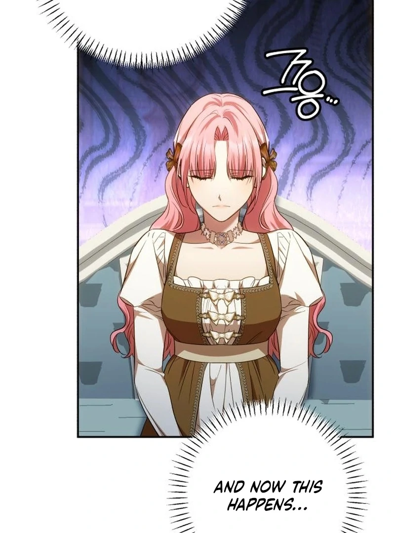 My Husband Was Stolen Twice Chapter 26 434 079