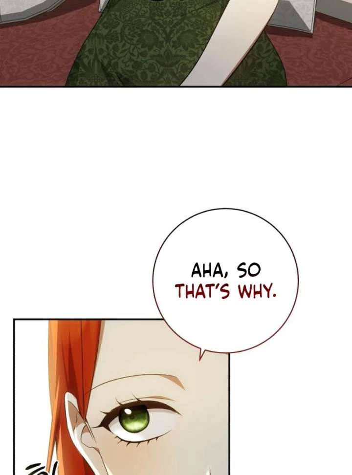 My Husband Was Stolen Twice Chapter 27 430 91