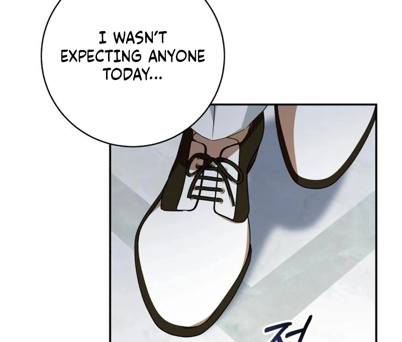 My Husband Was Stolen Twice Chapter 28 402 029