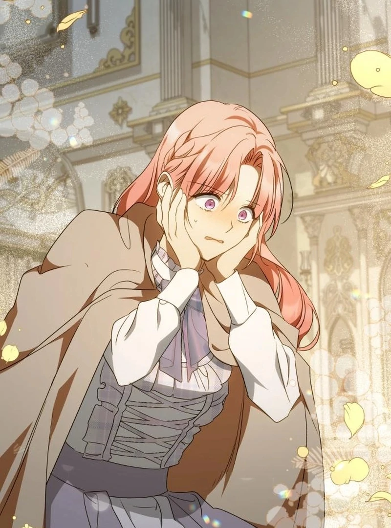 My Husband Was Stolen Twice Chapter 29 480 92