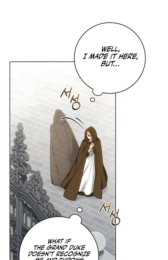 My Husband Was Stolen Twice Chapter 9 334 ch 9 15