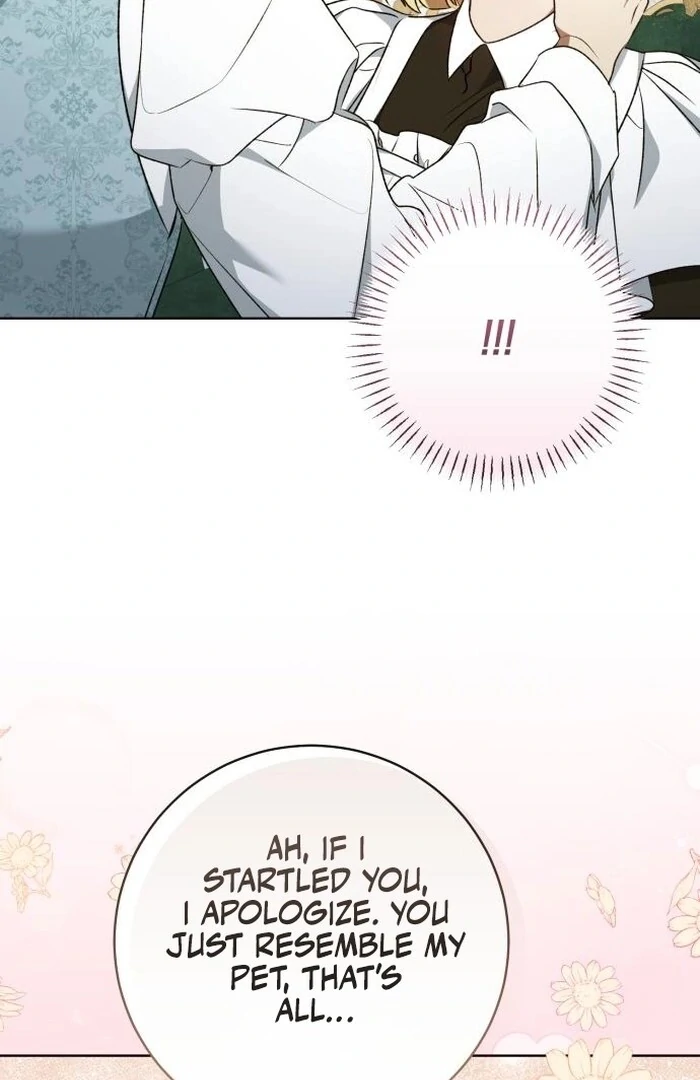 My Husband Was Stolen Twice Chapter 9 381 ch 9 62