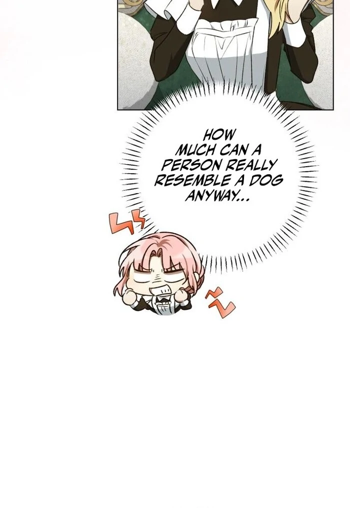 My Husband Was Stolen Twice Chapter 9 384 ch 9 65