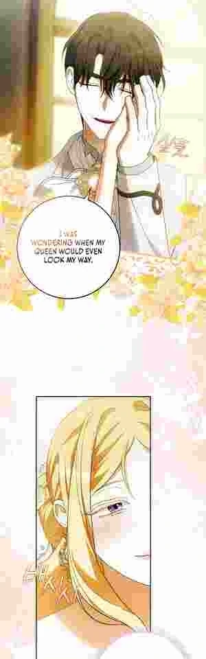 My Wish Is Two Separate Beds Chapter 19 217 039