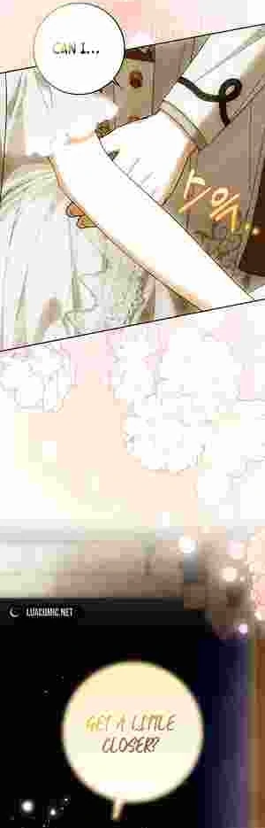 My Wish Is Two Separate Beds Chapter 19 225 047