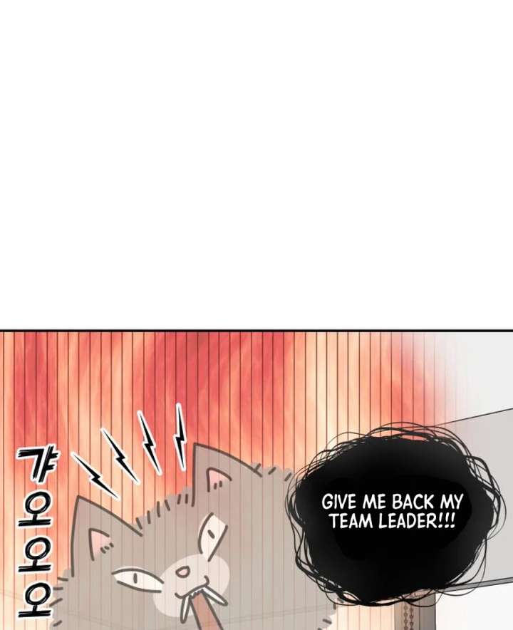 No Dating Allowed In The Office Chapter 73 626 103