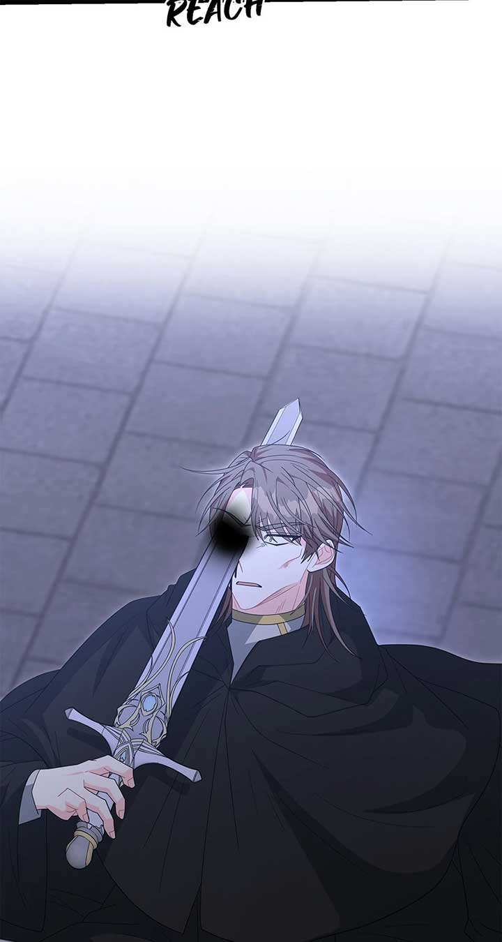 No, I Only Charmed the Princess! Chapter 53 342 ch 53 26