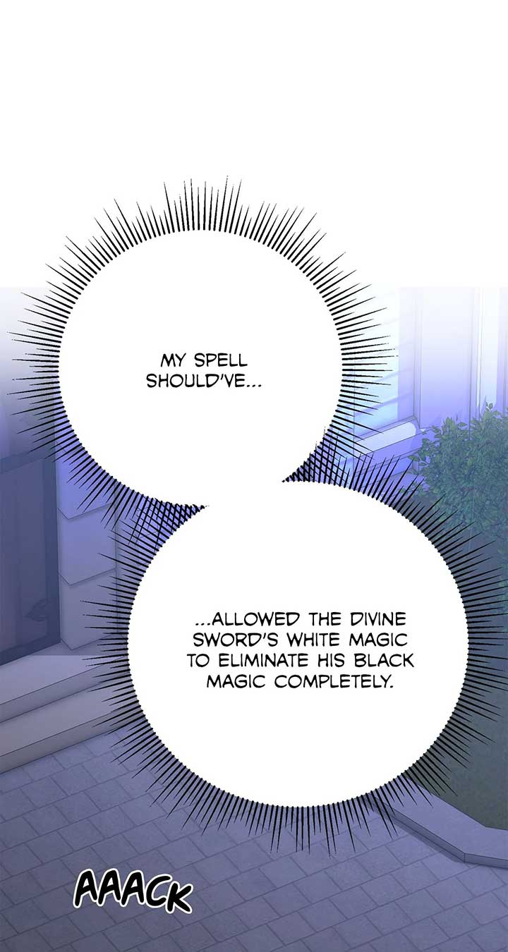 No, I Only Charmed the Princess! Chapter 53 347 ch 53 31