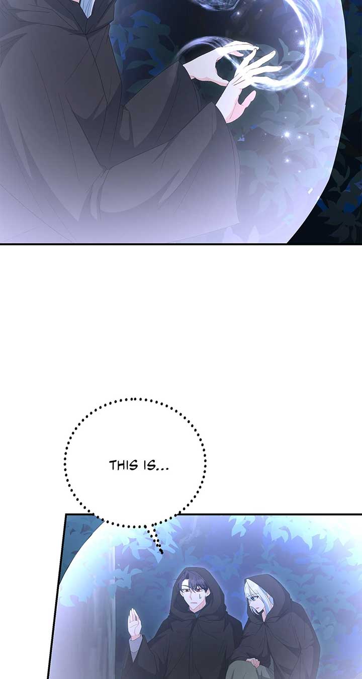 No, I Only Charmed the Princess! Chapter 53 352 ch 53 36