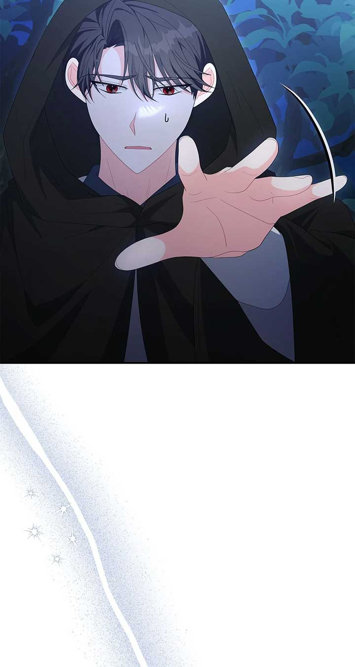 No, I Only Charmed the Princess! Chapter 53 357 ch 53 41