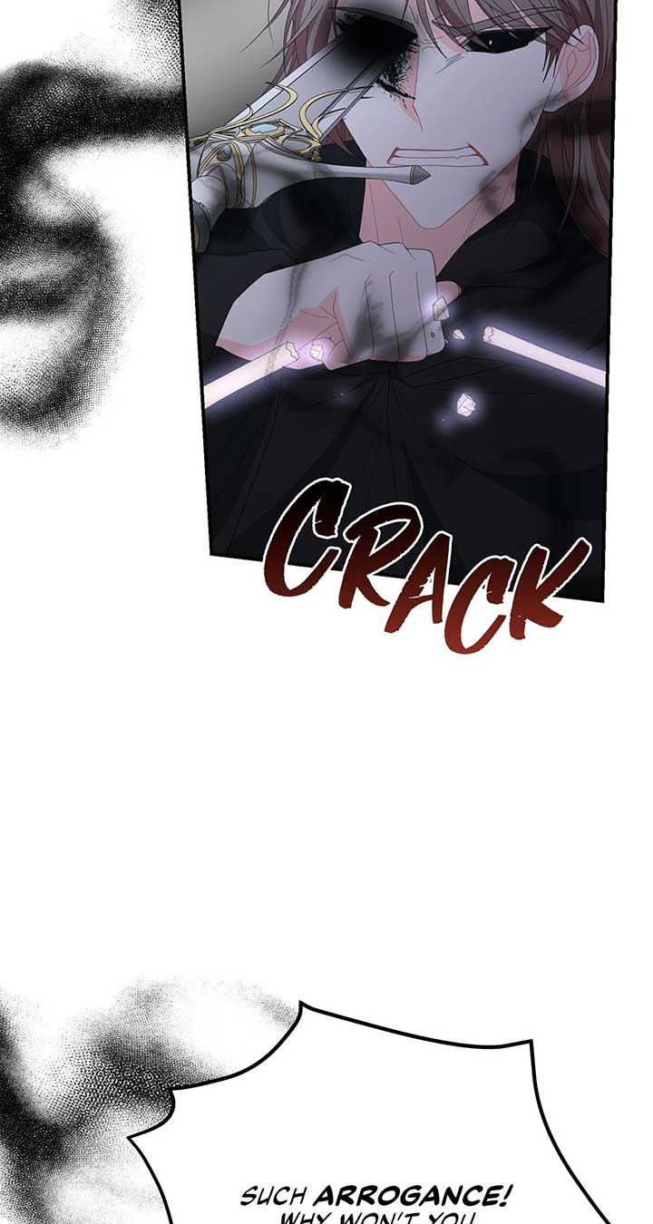 No, I Only Charmed the Princess! Chapter 53 374 ch 53 58