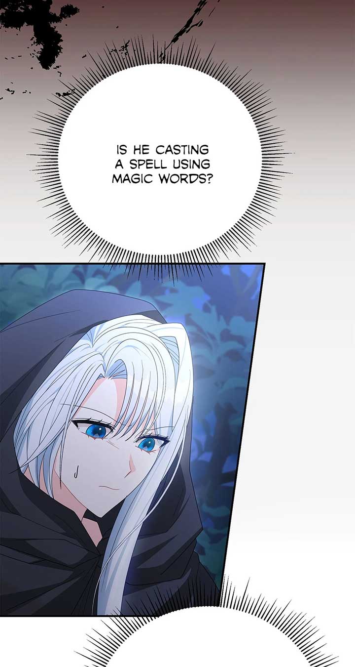 No, I Only Charmed the Princess! Chapter 53 322 ch 53 6