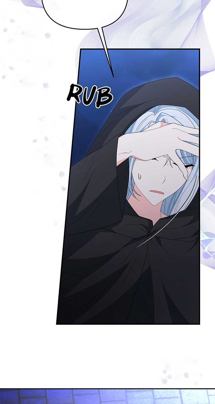 No, I Only Charmed the Princess! Chapter 53 411 ch 53 95