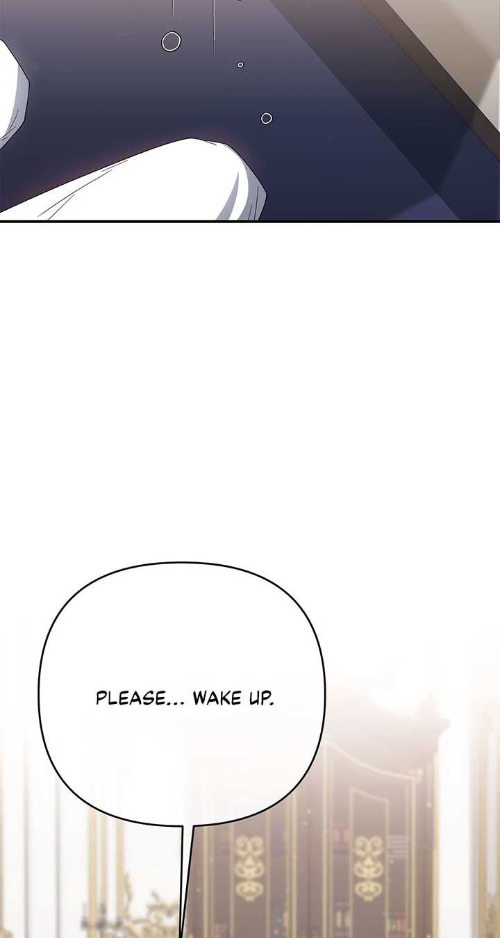 No, I Only Charmed the Princess! Chapter 58 317 ch 58 61