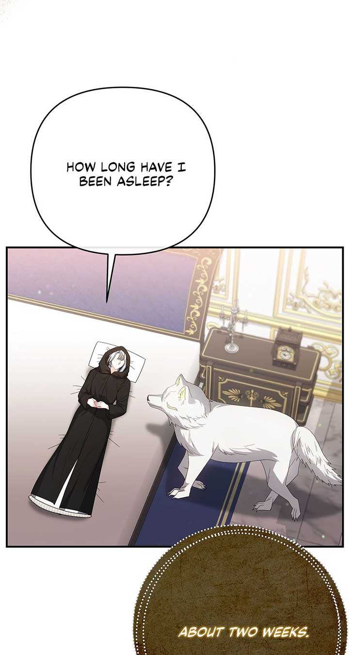 No, I Only Charmed the Princess! Chapter 59 381 ch 59 2