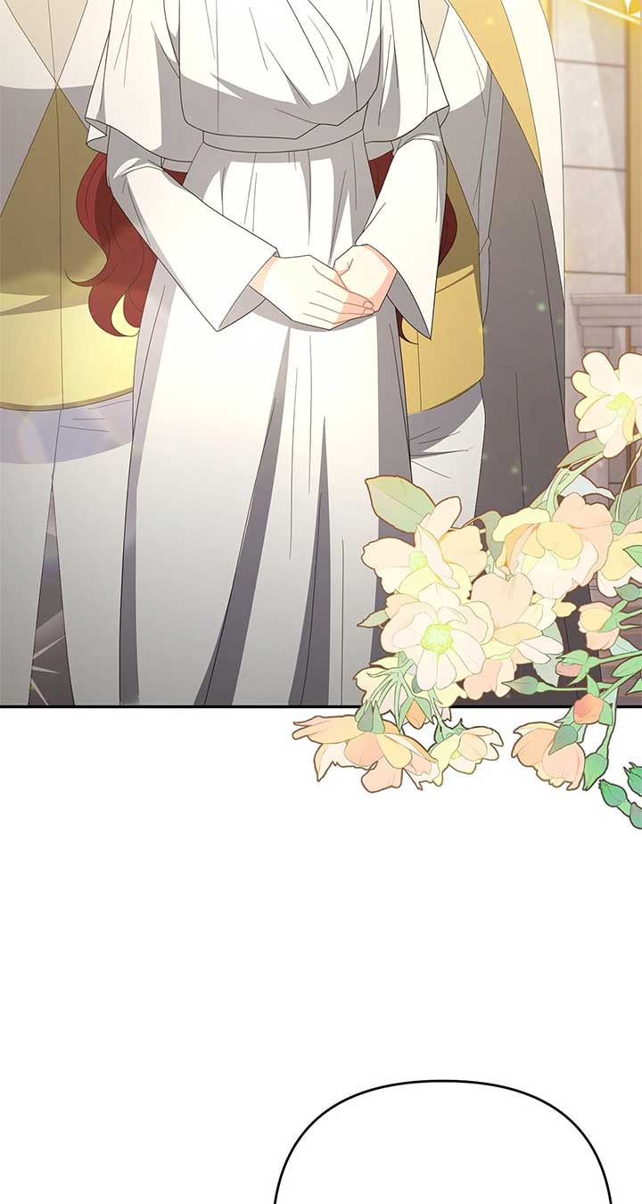 No, I Only Charmed the Princess! Chapter 64 394 ch 64 84