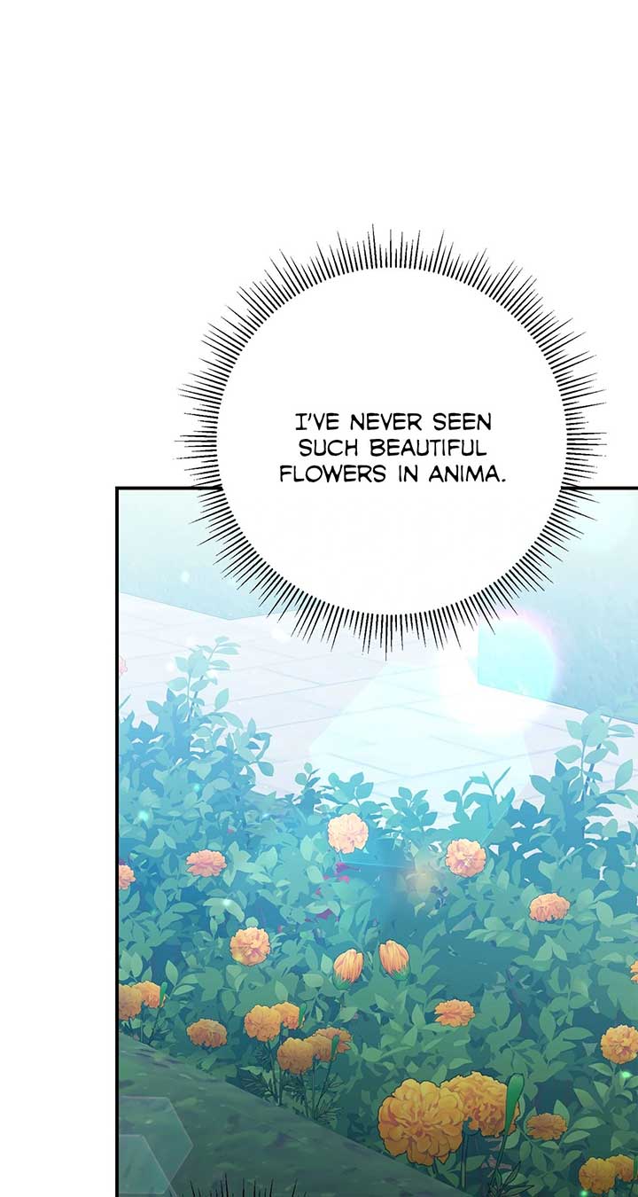 No, I Only Charmed the Princess! Chapter 69 379 ch 69 84