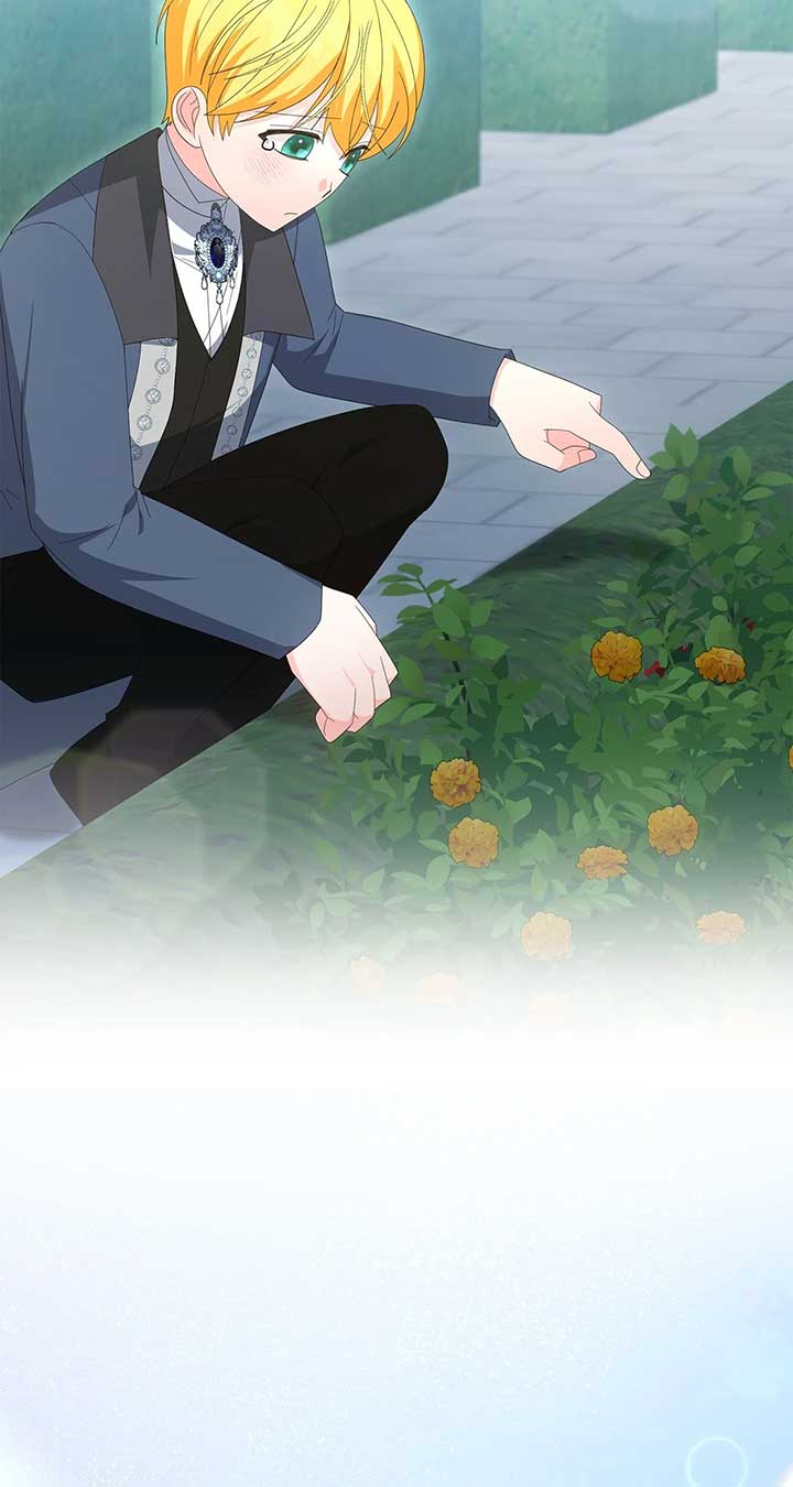 No, I Only Charmed the Princess! Chapter 69 381 ch 69 86