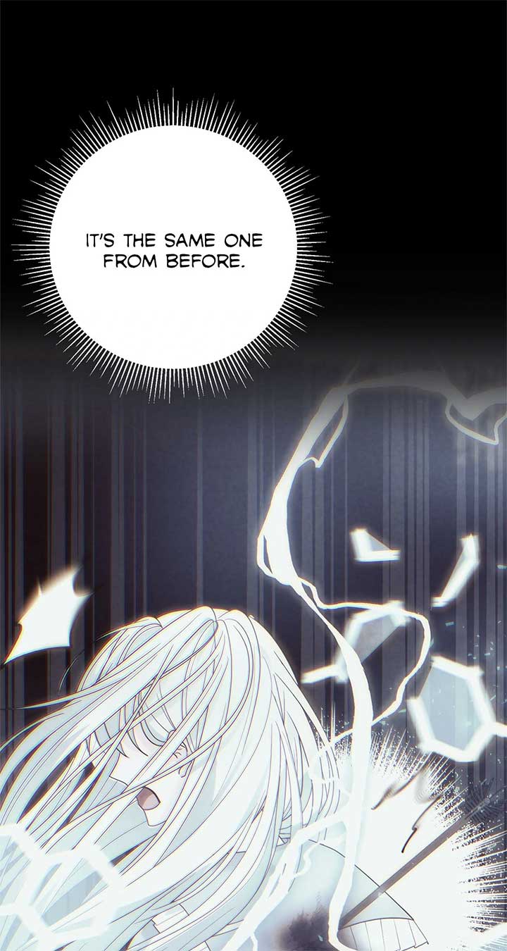 No, I Only Charmed the Princess! Chapter 70 325 ch 70 51