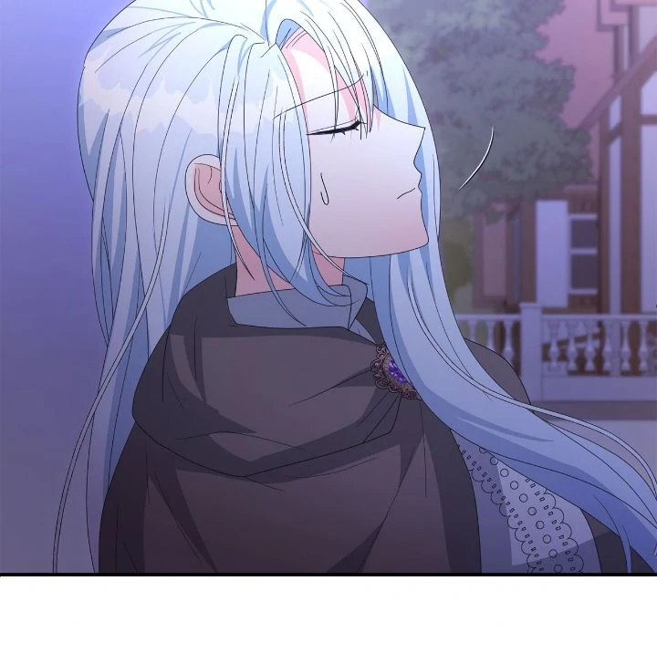 No, I Only Charmed the Princess! Chapter 72 205 ch 72 39