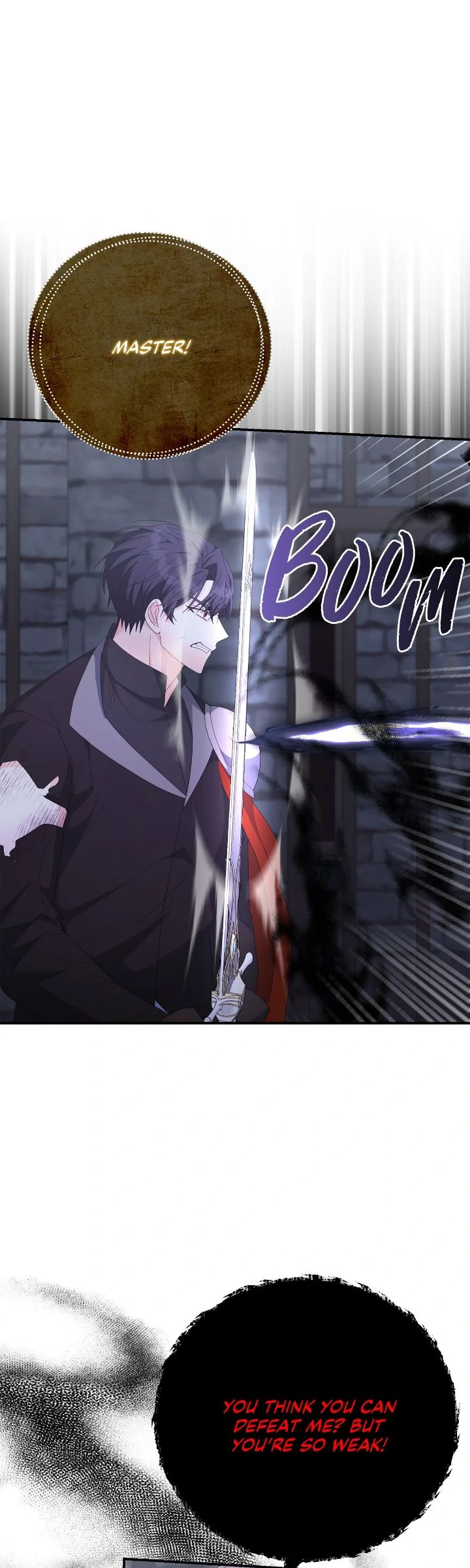 No, I Only Charmed the Princess! Chapter 74 207 ch 74 11