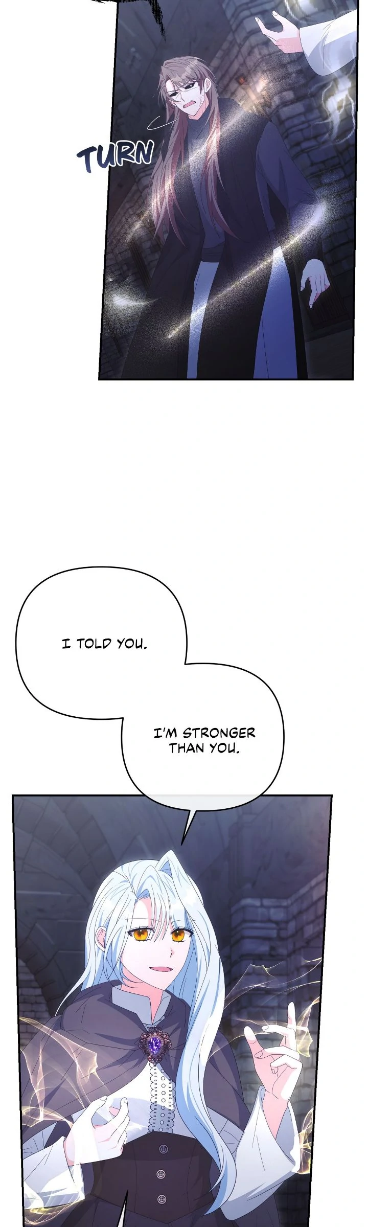 No, I Only Charmed the Princess! Chapter 74 213 ch 74 17