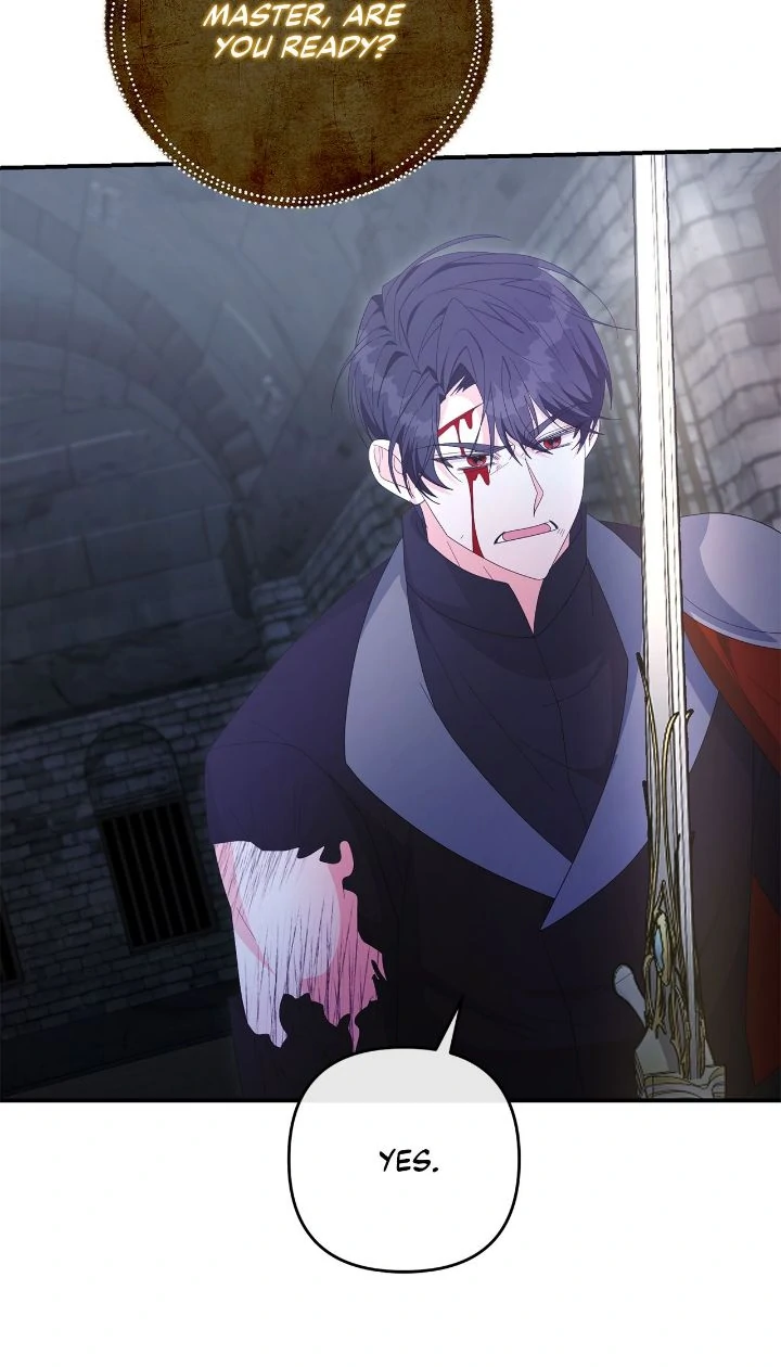 No, I Only Charmed the Princess! Chapter 74 217 ch 74 21