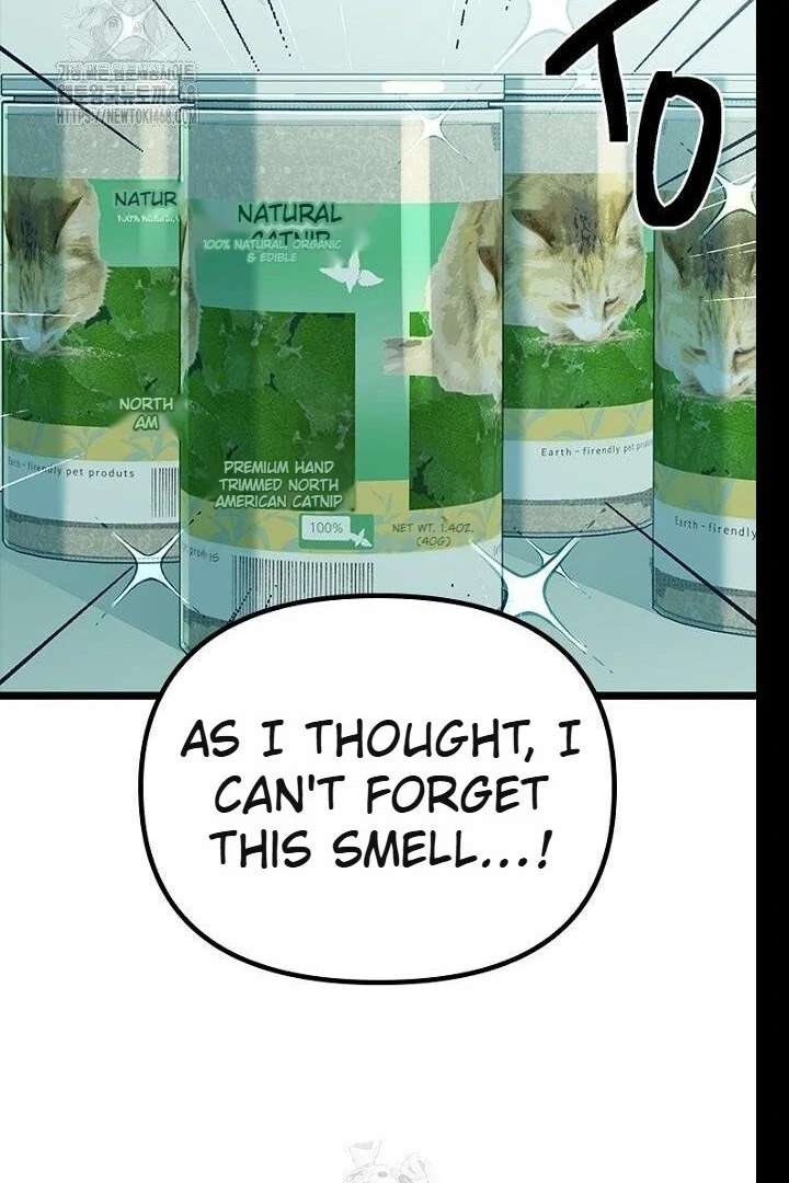 No More Regrets, Just Kill Me Chapter 62 597 113