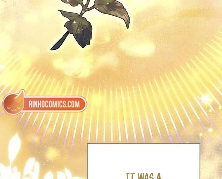 No Place for the Fake Princess Chapter 97 316 009