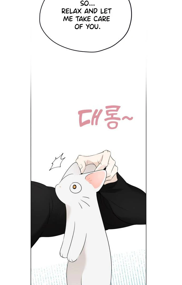 ch 2 49